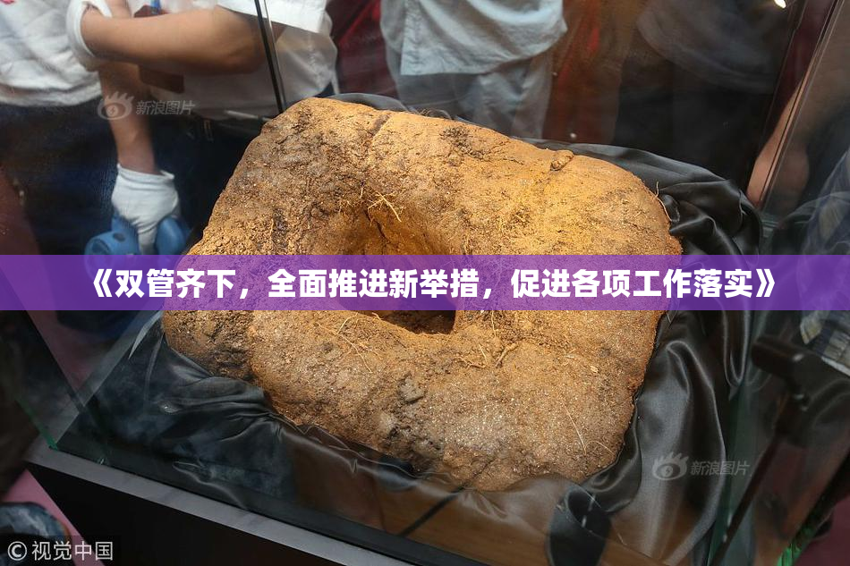 《双管齐下，全面推进新举措，促进各项工作落实》