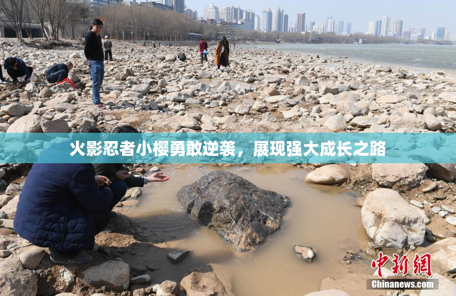 火影忍者小樱勇敢逆袭，展现强大成长之路