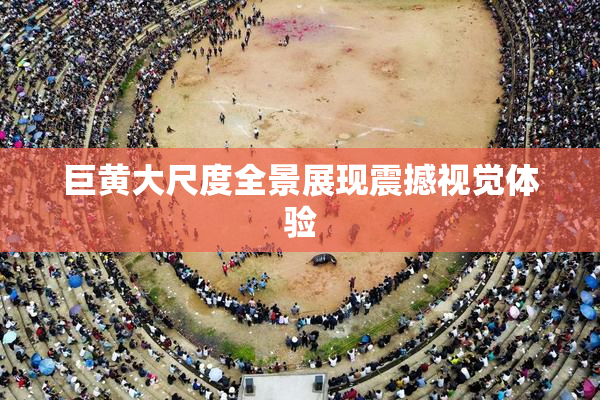 巨黄大尺度全景展现震撼视觉体验