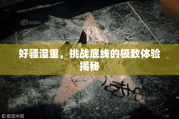 好骚湿重，挑战底线的极致体验揭秘