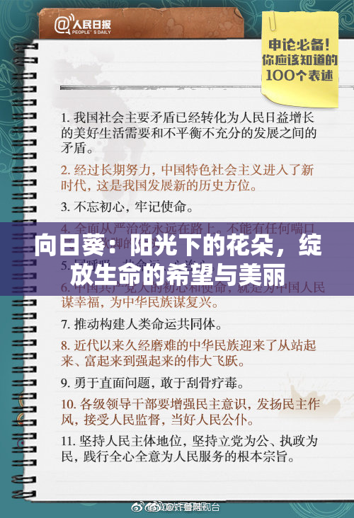 向日葵：阳光下的花朵，绽放生命的希望与美丽