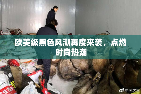 欧美级黑色风潮再度来袭，点燃时尚热潮
