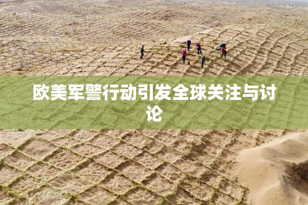 欧美军警行动引发全球关注与讨论