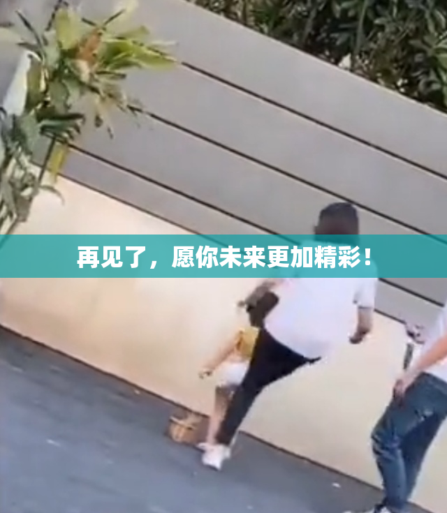 再见了，愿你未来更加精彩！
