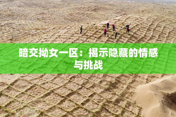 暗交拗女一区：揭示隐藏的情感与挑战