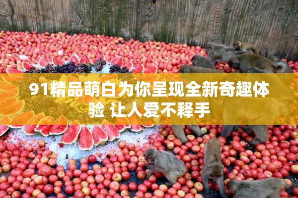 91精品萌白为你呈现全新奇趣体验 让人爱不释手