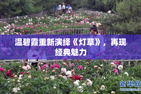 温碧霞重新演绎《灯草》，再现经典魅力