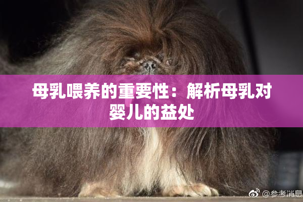 母乳喂养的重要性：解析母乳对婴儿的益处