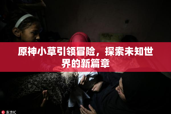 原神小草引领冒险，探索未知世界的新篇章