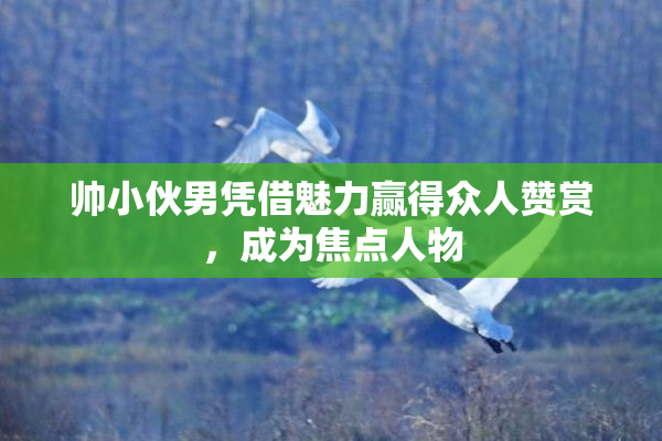 帅小伙男凭借魅力赢得众人赞赏，成为焦点人物