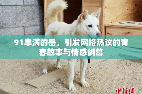 91丰满的岳，引发网络热议的青春故事与情感纠葛