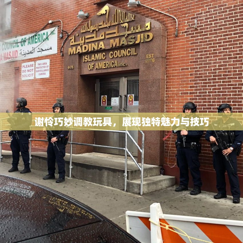 谢怜巧妙调教玩具，展现独特魅力与技巧