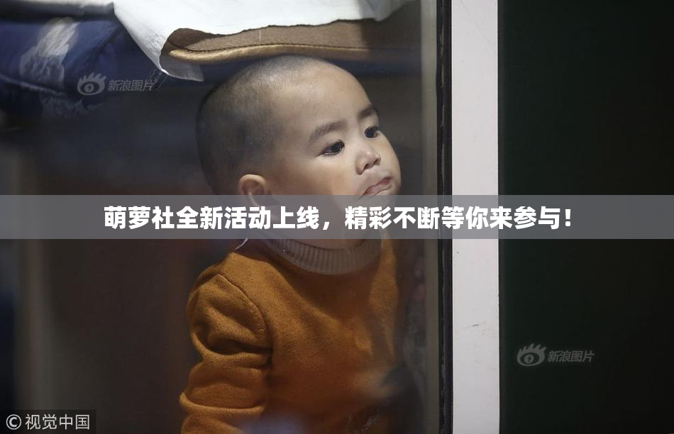 萌萝社全新活动上线，精彩不断等你来参与！