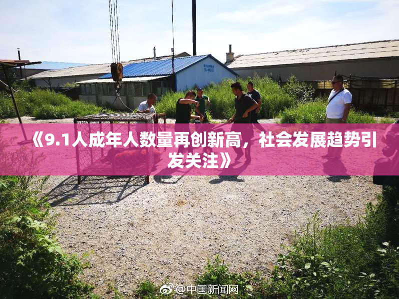 《9.1人成年人数量再创新高，社会发展趋势引发关注》