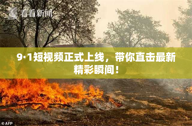 9·1短视频正式上线，带你直击最新精彩瞬间！