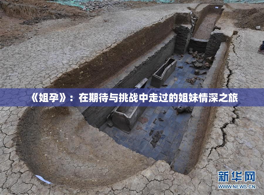 《姐孕》：在期待与挑战中走过的姐妹情深之旅