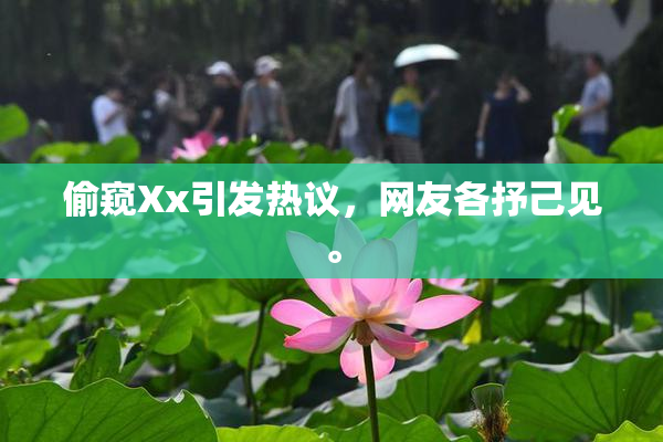 偷窥Xx引发热议，网友各抒己见。