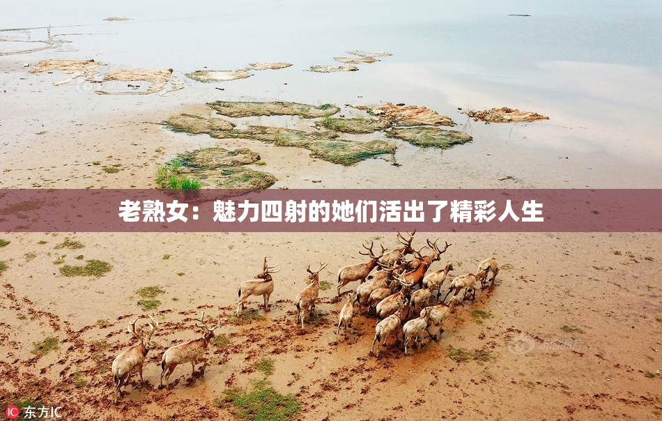 老熟女：魅力四射的她们活出了精彩人生