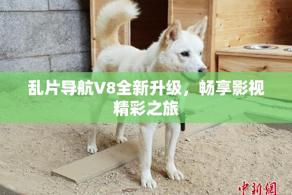 乱片导航V8全新升级，畅享影视精彩之旅