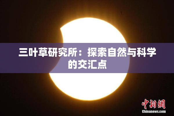 三叶草研究所：探索自然与科学的交汇点