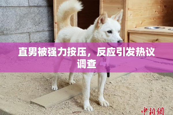 直男被强力按压，反应引发热议调查
