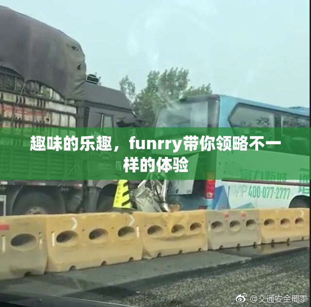 趣味的乐趣，funrry带你领略不一样的体验