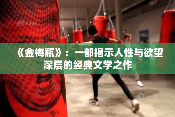 《金梅瓶》：一部揭示人性与欲望深层的经典文学之作