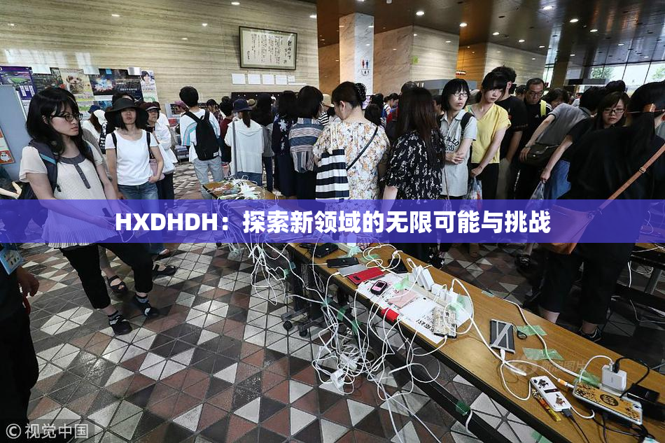 HXDHDH：探索新领域的无限可能与挑战