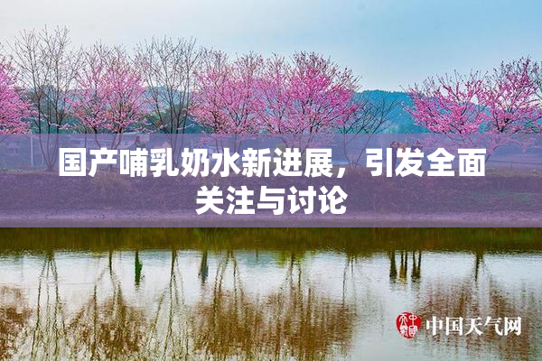 国产哺乳奶水新进展，引发全面关注与讨论
