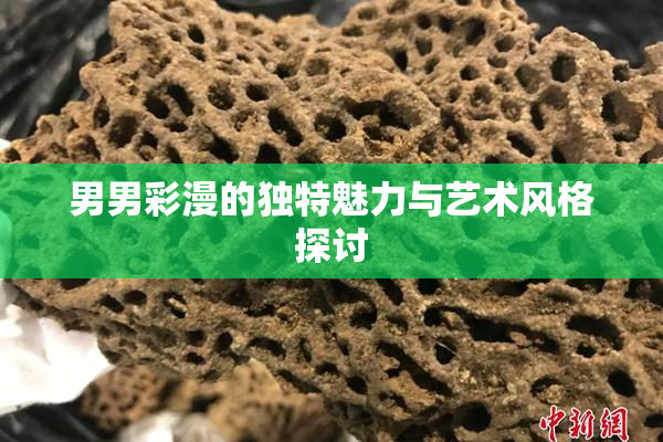 男男彩漫的独特魅力与艺术风格探讨