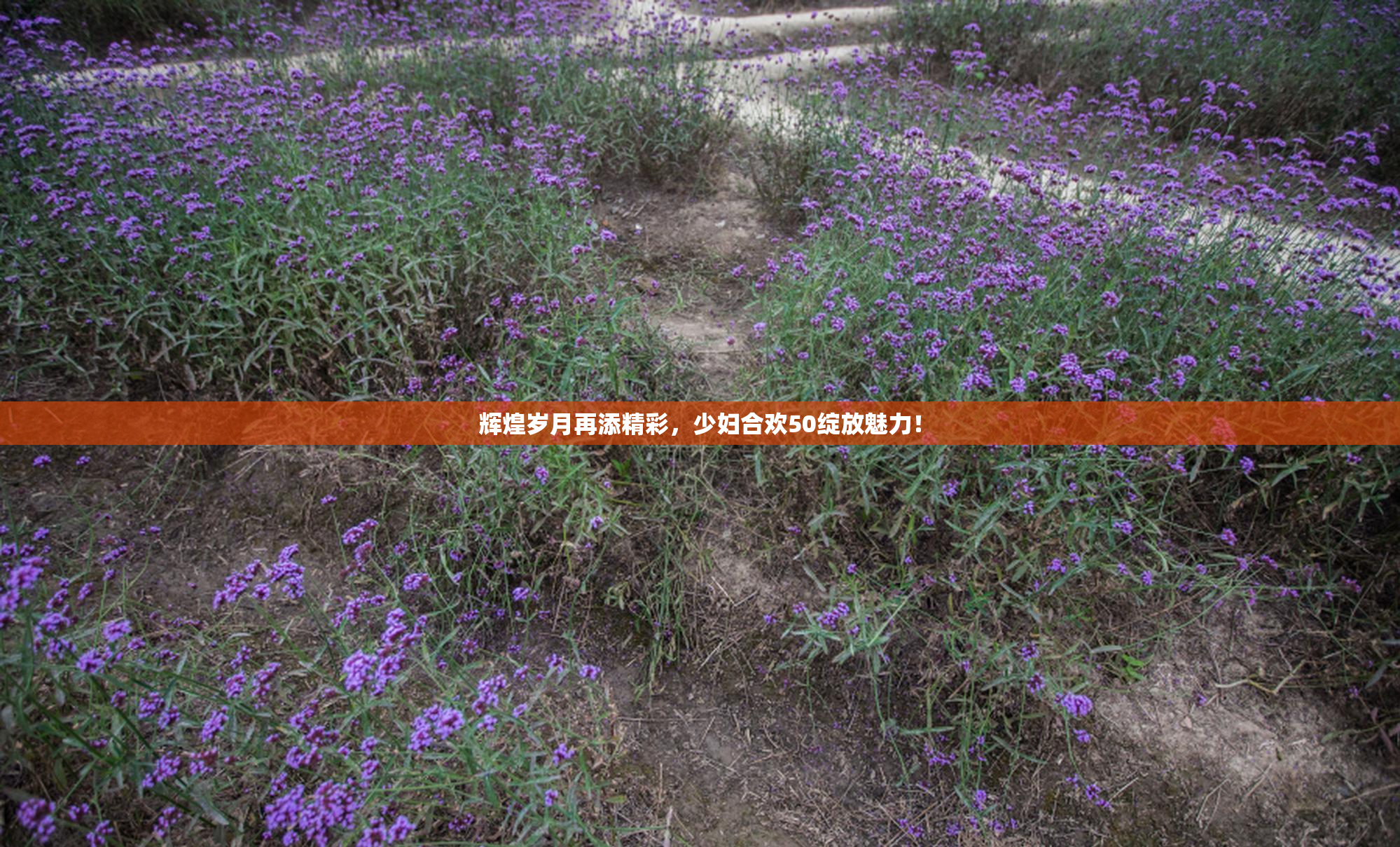 辉煌岁月再添精彩，少妇合欢50绽放魅力！