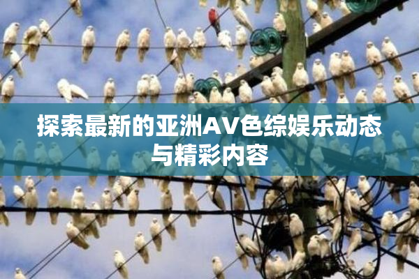 探索最新的亚洲AV色综娱乐动态与精彩内容