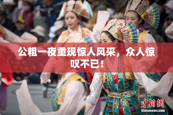 公粗一夜重现惊人风采，众人惊叹不已！