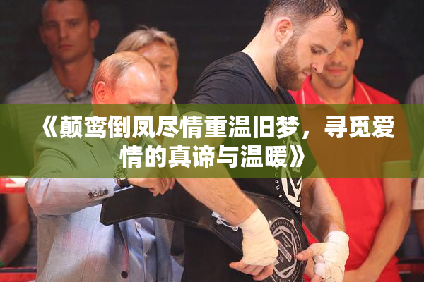 《颠鸾倒凤尽情重温旧梦，寻觅爱情的真谛与温暖》