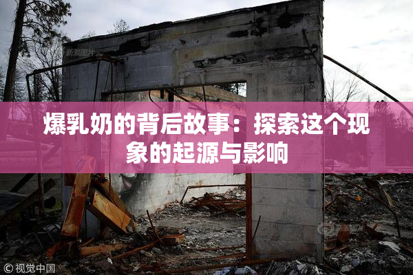 爆乳奶的背后故事：探索这个现象的起源与影响
