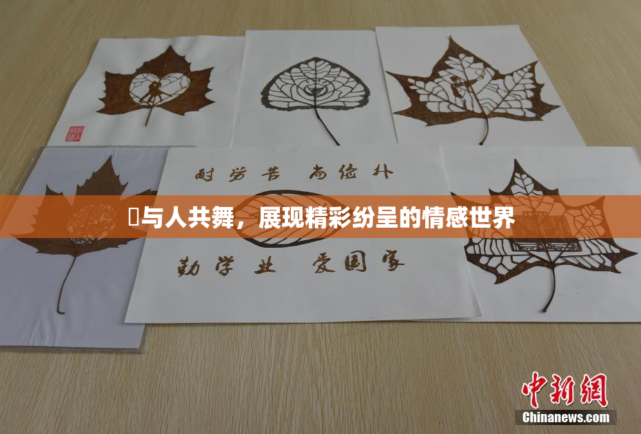嘼与人共舞，展现精彩纷呈的情感世界