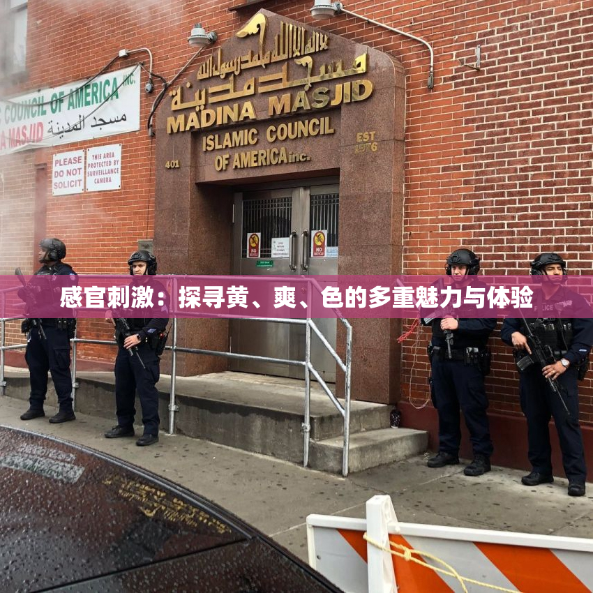 感官刺激：探寻黄、爽、色的多重魅力与体验