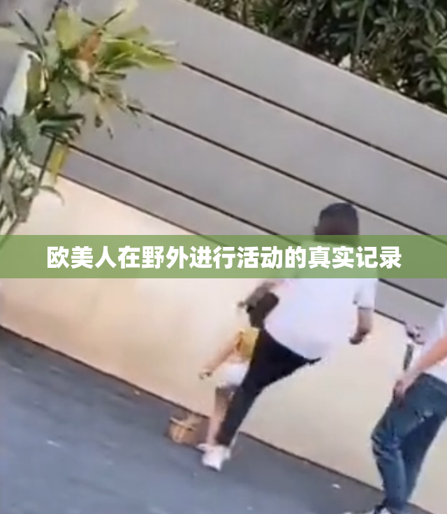 欧美人在野外进行活动的真实记录