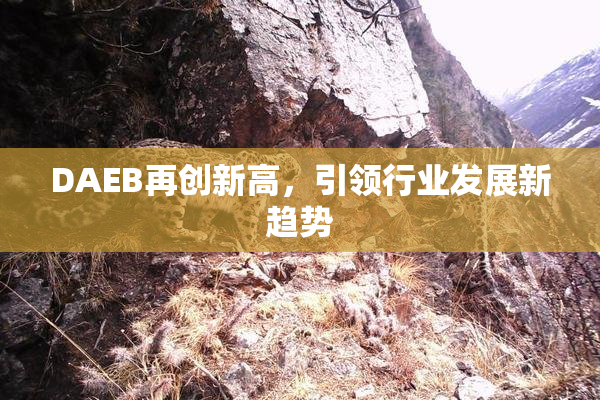 DAEB再创新高，引领行业发展新趋势