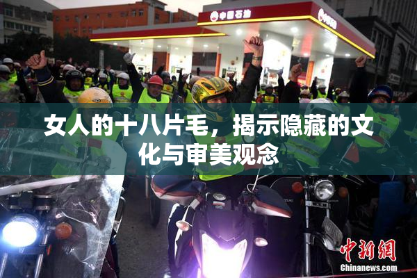 女人的十八片毛，揭示隐藏的文化与审美观念