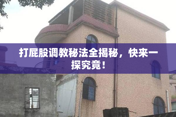 打屁股调教秘法全揭秘，快来一探究竟！