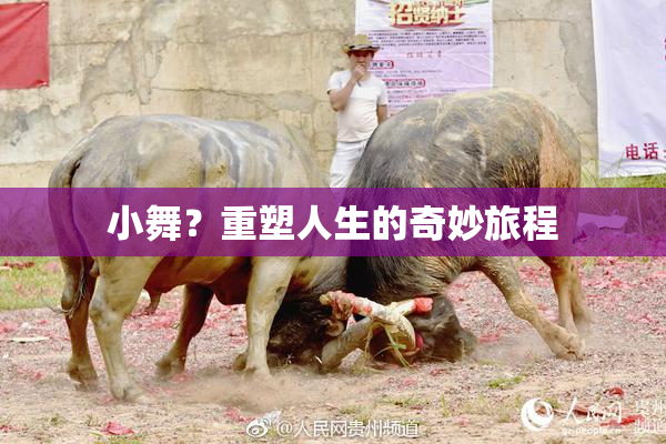 小舞？重塑人生的奇妙旅程