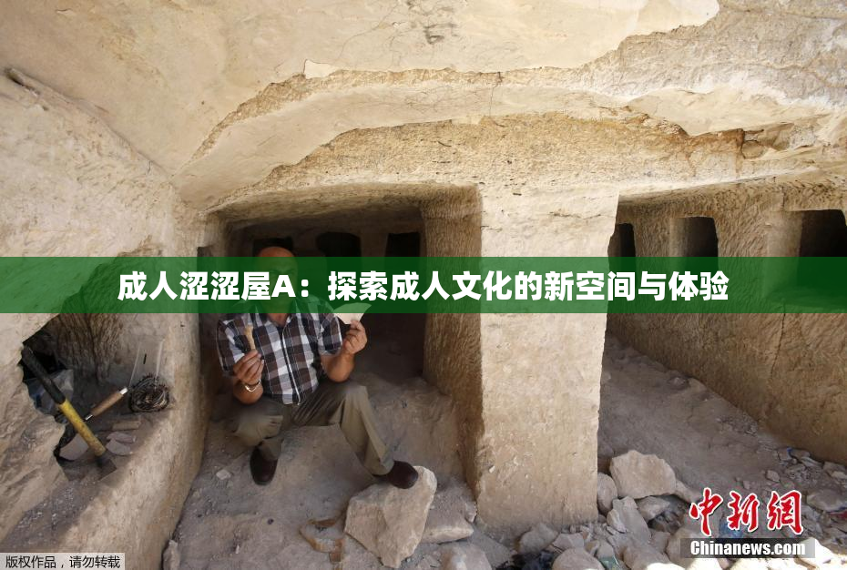 成人涩涩屋A：探索成人文化的新空间与体验