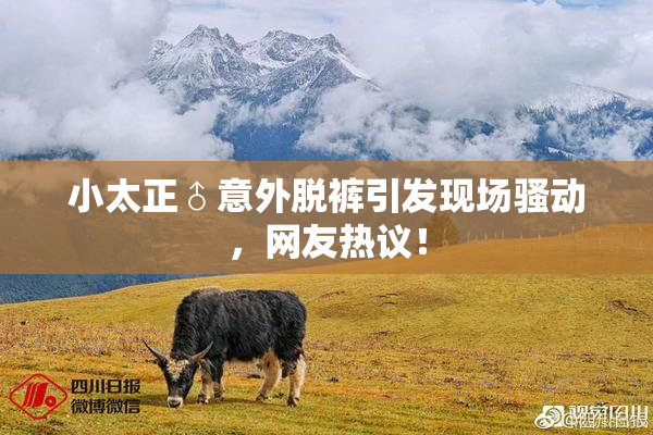 小太正♂意外脱裤引发现场骚动，网友热议！