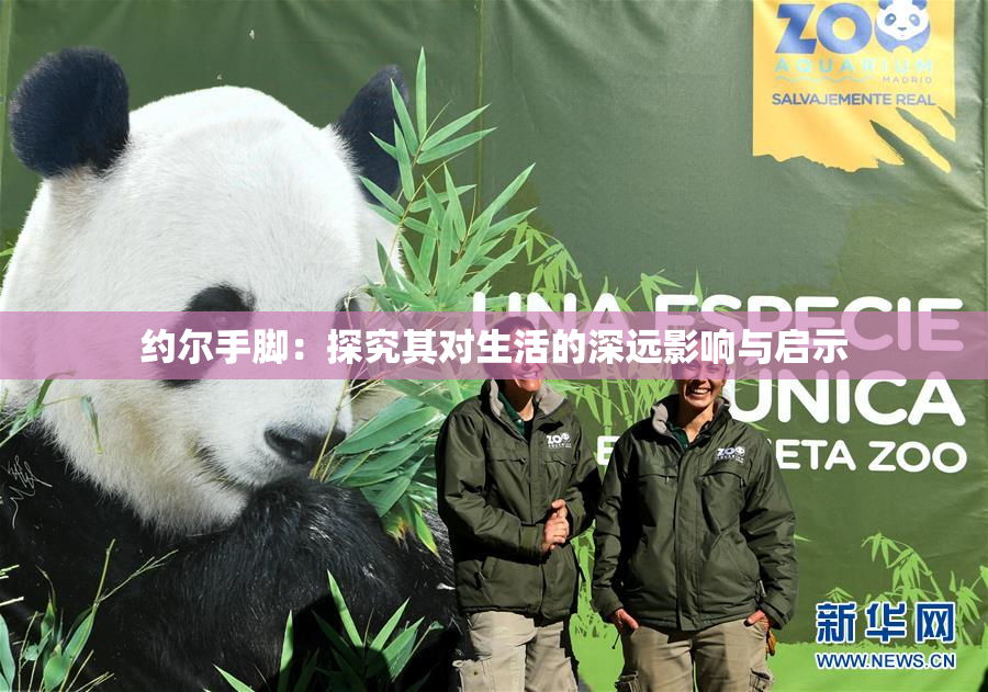 约尔手脚：探究其对生活的深远影响与启示