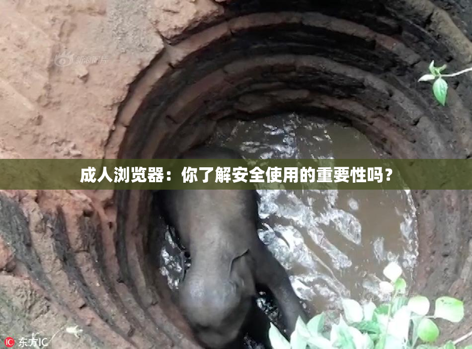 成人浏览器：你了解安全使用的重要性吗？