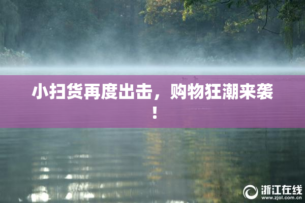 小扫货再度出击，购物狂潮来袭！