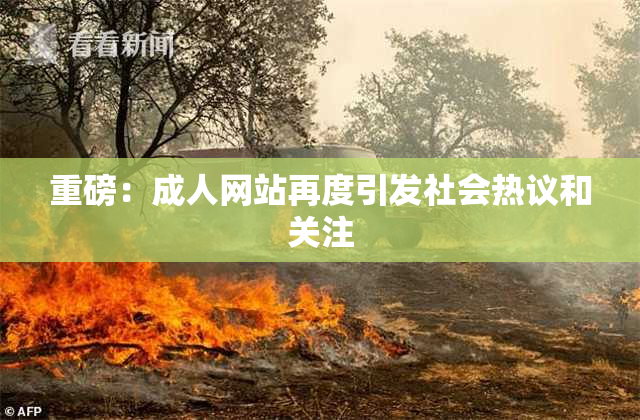重磅：成人网站再度引发社会热议和关注