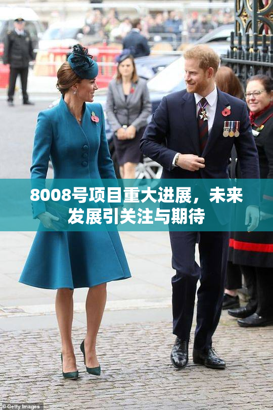 8008号项目重大进展，未来发展引关注与期待