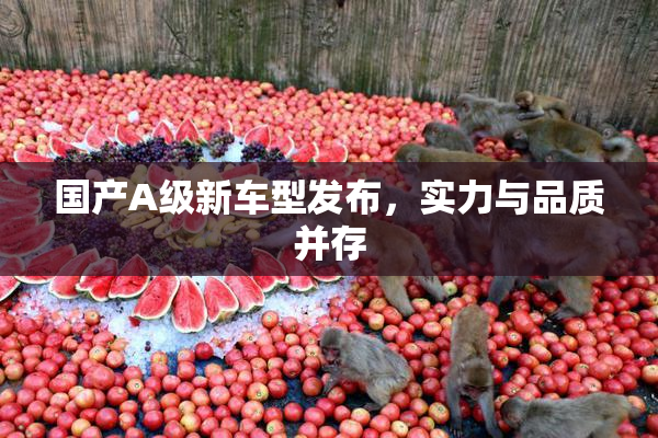 国产A级新车型发布，实力与品质并存